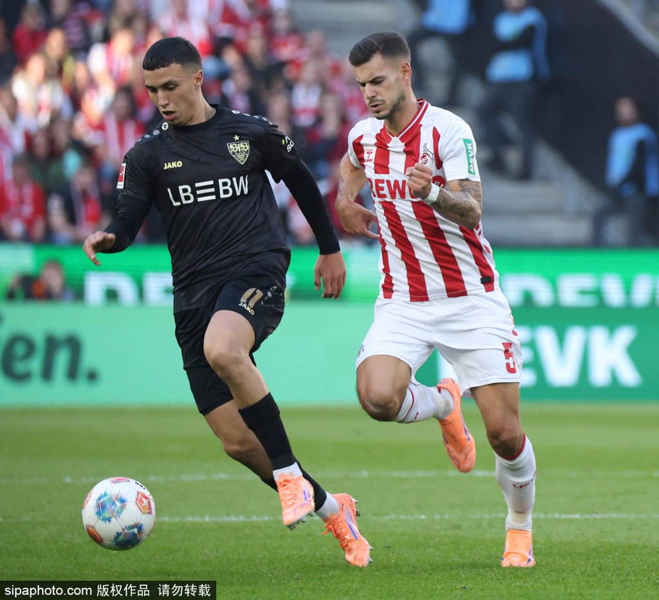 乐鱼体育官网-斯图加特足球俱乐部阵容